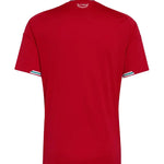 PAÍS DE GALES MUNDIAL 2026 - PRINCIPAL