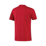 Manchester United Main 16/17