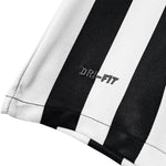 Santos Alternative 12/13