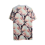 Japão Edição Especial 24/25