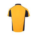 Alternative Liverpool 00/01 - FA Cup Final