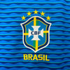 Brasil Alternativa 24/25 - Copa América 2024