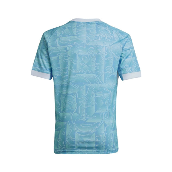 Juventus Alternativa 25/26