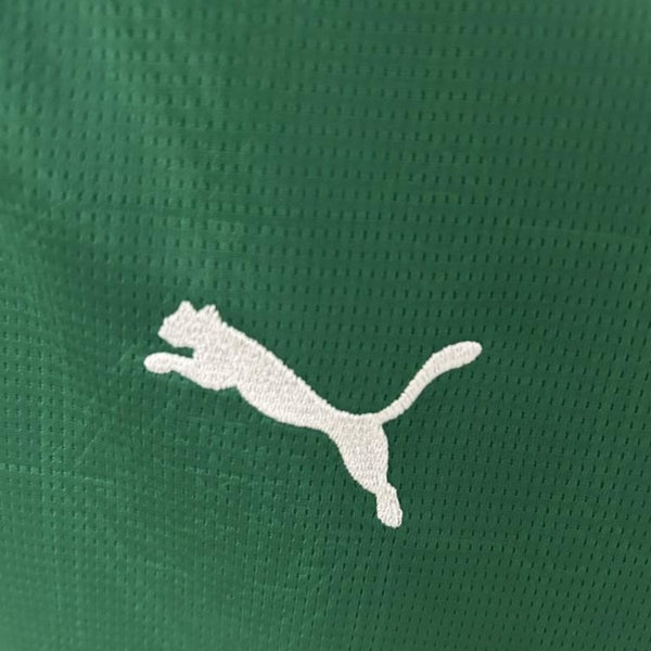 Palmeiras Principal 25/26 - Versão Feminina