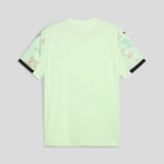 Portugal Alternativa 2025