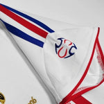 France Alternative 06/07 - World Cup Final 2006