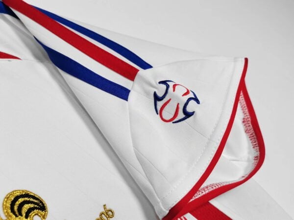 France Alternative 06/07 - World Cup Final 2006