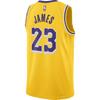 NBA Los Angeles Lakers Icon Edition 23-2024